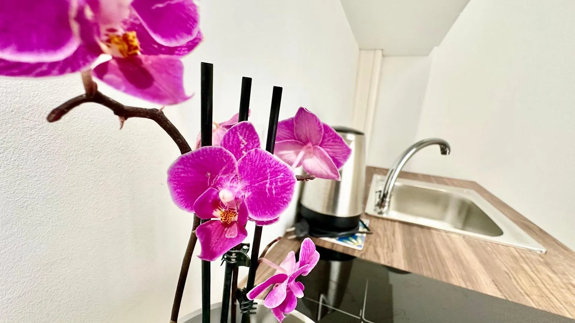 B&B Giardino Della Giganza Catane 0*,
